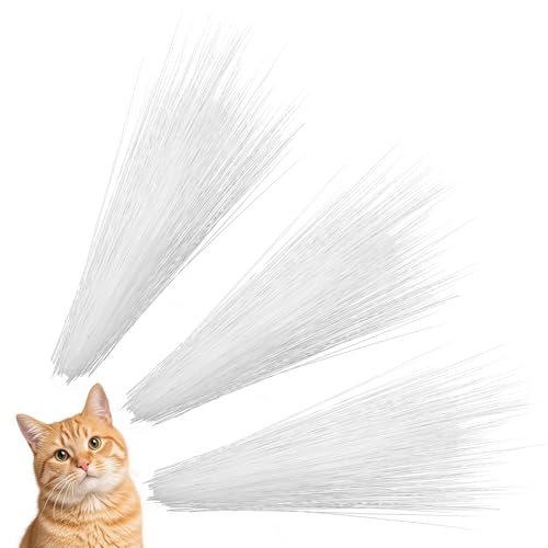 IANFAN 900 Pcs Cat Whiskers 3 Inch Simulated Animal Whiskers for Crafts Plastic Cat Whisker for Face & Needle Felting Supplies for Stuffed Animals Muppets (White)