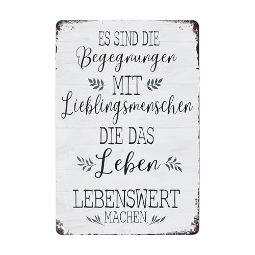 Chstarina Metallschild Sprüche Retro, 20x30cm Blechschild für...