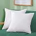 Acanva Hypoallergenic Pillow Insert Form Cushion Euro Sham, Square, 20" L x 20" W, Set of 2