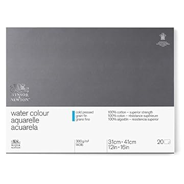 Winsor & Newton Professional 30.5 x 40.6 cm 300 gsm Cold Pressed Water Colour Paper Glued Block