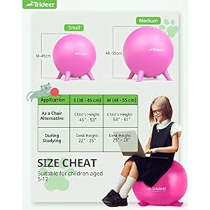 Trideer Flexible Seating for Classroom Elementary, Yoga Ball Chairs for Kids, Wobble Chair of School Supplies for Sensory Kids, Student Desk Chairs for Homeschool (Pink, 55cm) Trideer Flexible Seating for Classroom Elementary Yoga Ball Chairs for Kids Wobble Chair of School Supplies for Sensory Kids Student Desk Chairs for Homeschool Pink 55cm