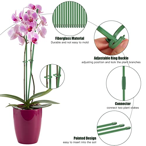 Aboofx Green Plant Stakes, 19 Pieces 16 Inch Plant Stakes with Adjustable Ring Buckles and Connectors for Indoor Outdoor Plants, Plant Support Stakes Garden Stake for Plants Flowers Tomato Orchid Rose