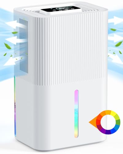 Deumidificatore da 2,7L per la Casa, Deumidificatore...