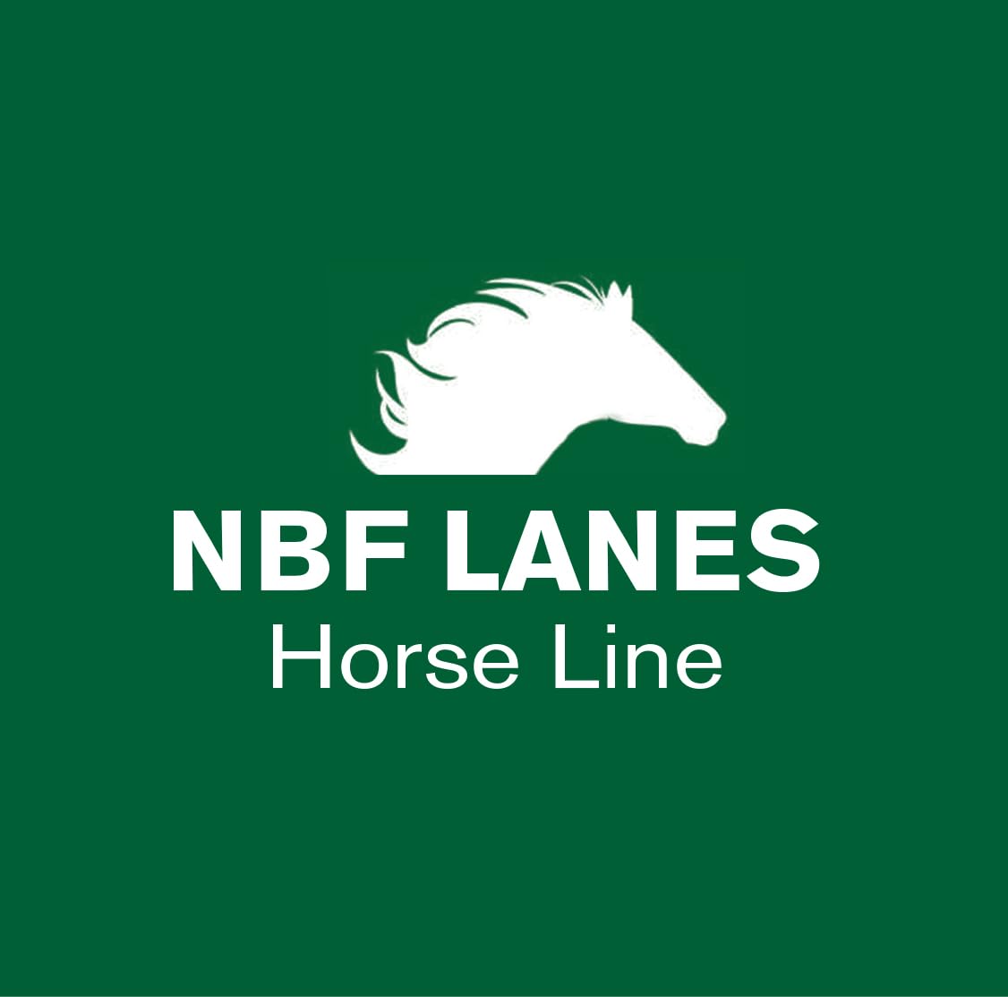 NBF Lanes | Hydrafit Horse - Reintegro Elettroliti per Cavalli con L-Carnitina e Carboidrati a Rilascio Rapido