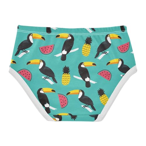 ZZKKO Toucan Watermelon Pineapple Girls Underwear Toddler Panties for Girls Comfort Brief Size 2T-8Y2