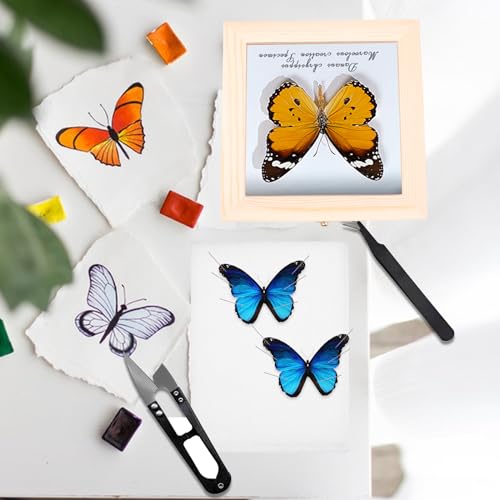 Image of 18 PCS Insect Specimen Tools Kit Large Insect Display Case Box Wooden Collection Box with Clear Top, 2 EVA Foam Pinning Board 10 Sheets Thin Tracing Paper 200 Pins 2 Tweezers 1 Scissors 1 Knife