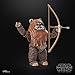STAR WARS The Black Series Wicket, Return of The Jedi 40th Anniversary 6-Inch Collectible Action Figures, Ages 4 and Up