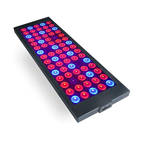 Xrrxy 300W LED Plant Grow Light,Full Spectrum Double Switch Plant Light for Indoor Plants Greenhouse Lamp Full Spectrum Growing LED Light