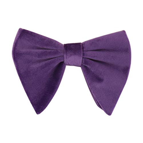 Noeud papillon en velours homme Levao violet vintage pour costume et chemise habillée