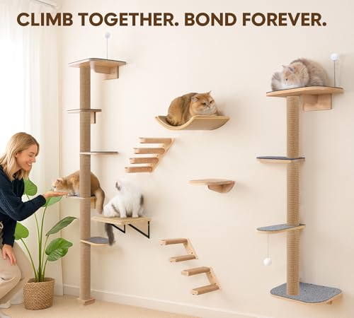 Arbre à chat de 210 cm mural pour grand chat manquant d'espace - 6