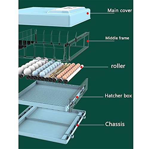 Vollautomatischer Inkubator 36-504 Eier, Inkubator mit LED-Temperaturanzeige und Präzisem Temperatursensor, Temperatur… – Bild 7