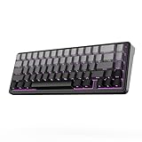 EPOMAKER x AULA F65 65%ワイヤレスメカニカルキーボード ホットスワップ対応ガスケットカスタムゲーミングキーボード 5層パッド RGBバックライト Bluetooth/2.4GHz/USB-C 潤滑済みリニアスイッチ搭載 技適認証取得 (Black, Reaper Switch)