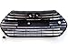 Hyundai Motors Genuine Front Hood Bumper Radiator Grill 2-pc Set For 2013 Hyundai Veloster Turbo