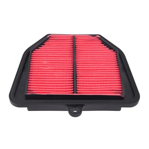 Filtro de repuesto para moto YMH FZ1 y FZ8 que soluciona tirones de motor (23.5 x 17 cm)