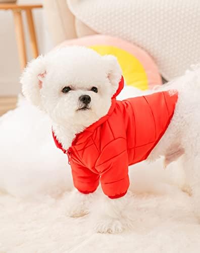 medium dog outfits