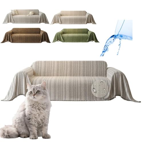 Lifetips p[} Ep[} LaPerm \t@[Jo[ k  􂦂 h }`Jo[ 2l| 3l| It IȂ ~ Eh~ LΉ lGʗp iubNj i130180CMj