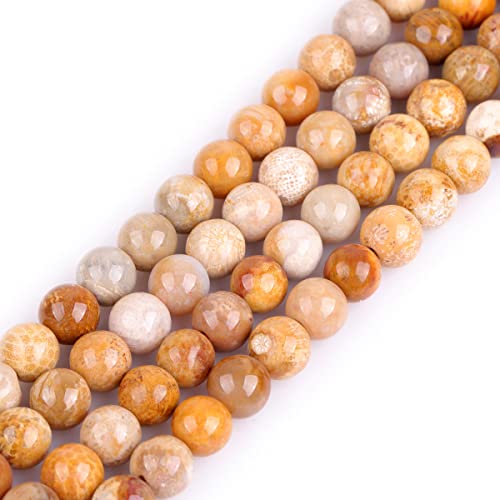 GEM-Inside Coral Beads for Jewelry Making Genuine Gemstone Loose Beads Natural Crystal Energy Stone Power for Adults 15"(Coral Fossil,8mm)