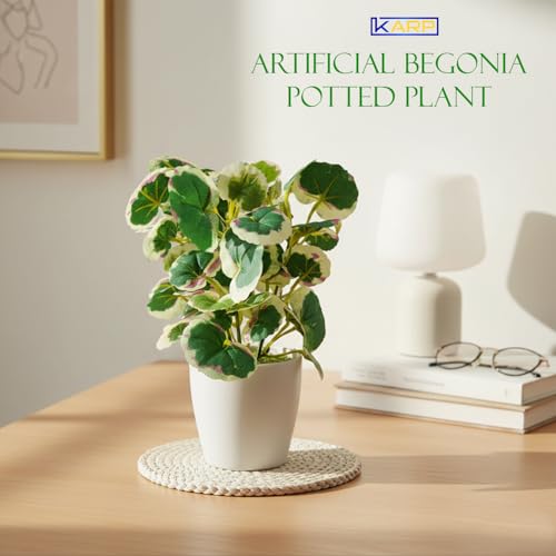 Image of KARP Artificial Potted Plants, Begonia Flower Plant with White Pot Home Decor, Plants for Living Room, Office Desk & Bathroom, Decorative (Small-Plant-6)