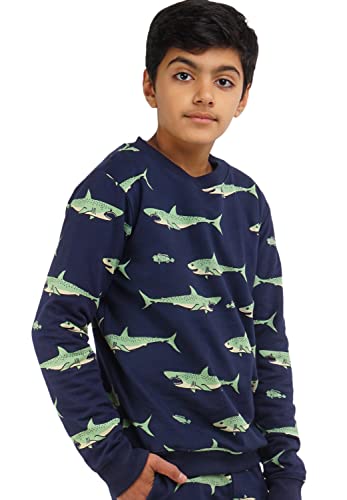Image of Real Basics Boys Cotton Round Neck Sweatshirt /Hoodie