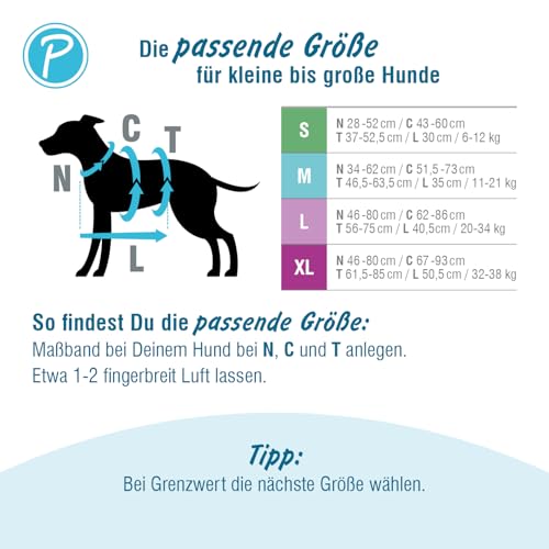 Petlando Sicherheitsgeschirr, ausbruchsicheres Hundegeschirr mit extra Bauchgurt, weich gepolstert mit Mesh, atmungsaktiv, robust, stufenlos verstellbar, Geschirr für kleine Hunde, Petrol, S