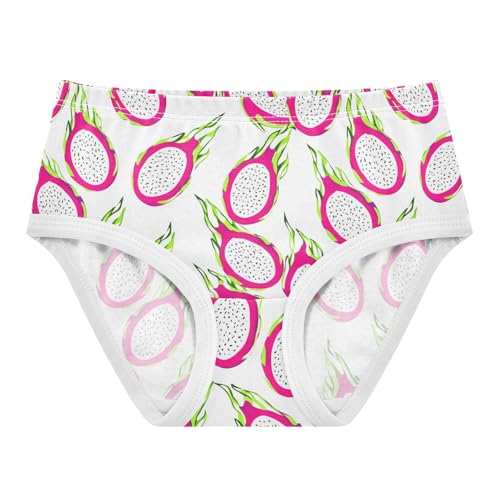 Fruit Pitaya Toddler Girls's Underwear 2T 2302207