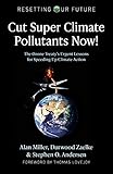 Cut Super Climate Pollutants Now!: The Ozone Treaty’s Urgent Lessons for Speeding Up Climate...