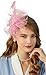 Cizoe Fascinators Hat for Women Tea Party Headband Kentucky Derby Wedding Flower Cocktail Mesh Feathers Hair Clip(1-Pink)