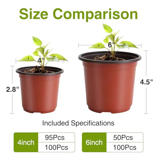 Delxo 50Pcs 6" Reusable Plastic Nursery Pots, Waterproof Planter Pots with Drain Holes, Indoor Seedling Starter Pots for Plants, Gardening, Red - Image 2