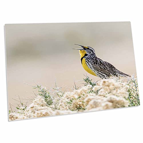 3dRose Desk Pad 23 x 16 Pulgadas Antelope Island miniatura 1