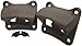 2 Wall Mounted Bottle Openers | Heavy Duty Cast Iron with Wood Mount Screws Included | Indie Craft Supply