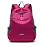 A-20l-arose