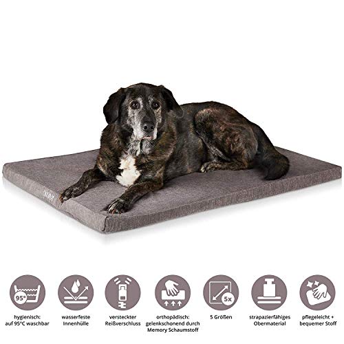 ONVAYA® Hundekissen orthopädisch aus Memory Foam | 95 Grad waschbar | grau | Größe S-XXL | Hundebett | Hundematratze | Hundematte | Liegekissen (L (89 x 60 x 5 cm))