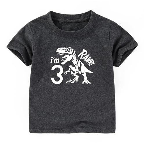 Dinosaur 3rd Birthday Shirt boy Girl Unisex Three Shirt 3 Year Old Birthday t Shirt Outfits