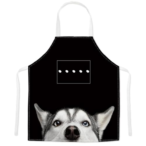 Gv H^ p fB[X Y Lb`Gv pO n[g   킢 L  킢 jp JtFGv Lb`Gv |Pbgt VɂȂɂ lR  킢  O| O dp