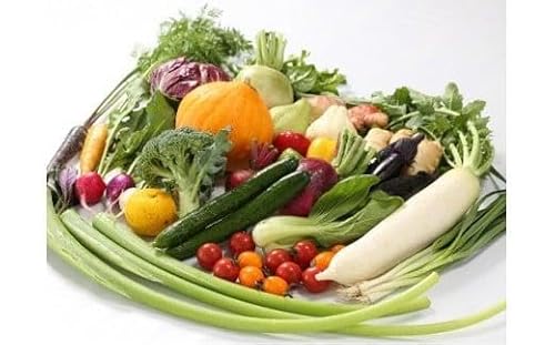 Farmer's Market ひなた 野菜 定期便 4回 おまかせ セット 10〜14種