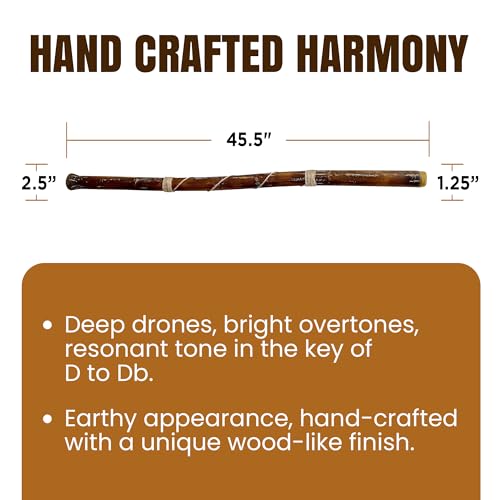 World Percussion Usa FBA_MDFE2 Modern Didgeridoo Instrument thumb #3