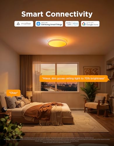 Image of Govee Smart Ceiling Light Pro, RGBIC LED Ceiling Light Fixture, 4800LM Flush Mount Light Fixture, DIY Colors, Compatible with Alexa, 2700K-6500K Lights for Living Room, Bedroom,18 Inch, 1 Pack