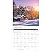 Willow Creek Press, Cabin Life 2026 Wall Calendar, 12'' X 12'', 18-Month Calendar with Stapled Binding
