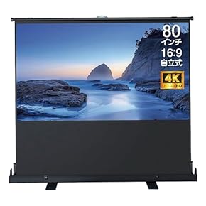 プロジェクター スクリーン フロア設置型 電動プロジェクタスクリーン 『VSDSTALR100H