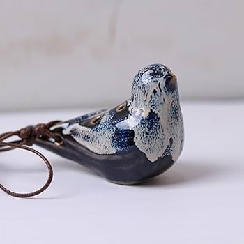 41Jv74XpJhL._AC_UF350,