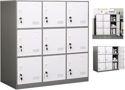 FURSTEL Locker Storage, Steel cabinets?Multi-Door Steel Locker, Small Locking Cabinet Storage Organizer, Office File Cabinet, Home Locker,LOCKERS