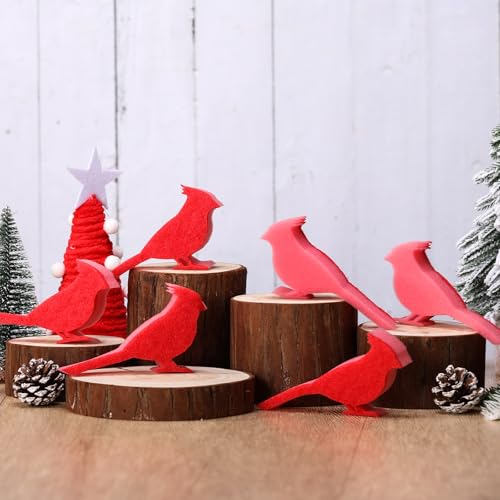 Image of Tioncy 12 Pack Christmas Red Bird Kitchen Sponges Red Cardinal Bulk Dual Sided Scrubber Sponges Dishwashing Kitchen Cleaning Accessories for Christmas Xmas Household Supplies