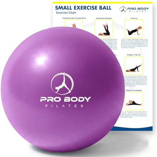 ProBody Pilates 9-Inch Exercise Ball