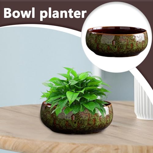 Pot de fleurs hydroponique contre les fuites d'eau sur vos meubles