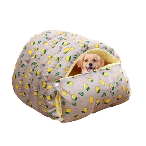 Lrtyui ~pLxbh | E \ peg | 􂦂LpX[sOxbh,^ q qL O s  Q  Ή