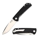 Kizer V3403A1 V3 Vigor Liner Lock Knife Drop Point Blade, Black G10 Handles