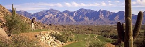 Posterazzi Golf Course Tucson AZ Poster Print, (36 x 12)
