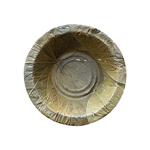 Palash-Sal leaf Single use Bowl | Natural, biodegradable, backyard compostable, USDA Certified | Party, Festival, wedding, BBQ Disposable supply | 3.5" Soucer Bow (3 oz/90ml) | Pack of 50