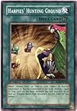 Yu-Gi-Oh! - Harpies' Hunting Ground (RDS-EN038) - Rise of Destiny - 1st Edition - Common