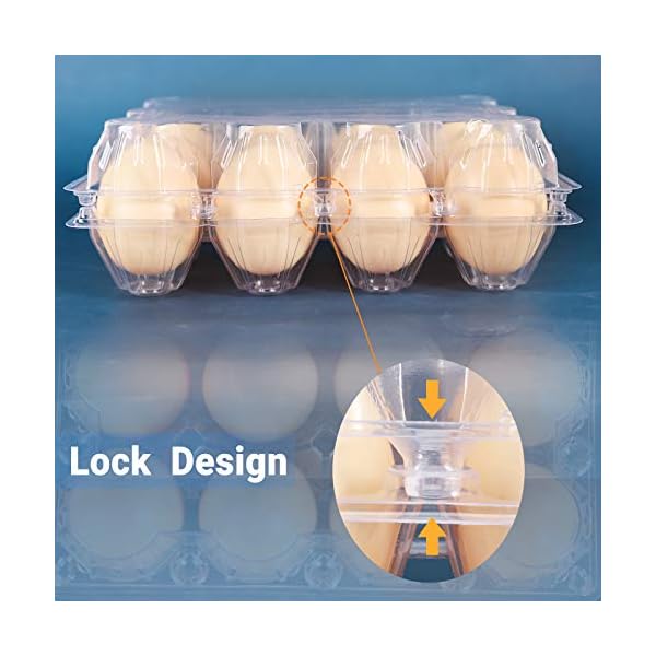 Egg Cartons Clear Plastic, Betose 12 Count 40 Pack Disposable Egg